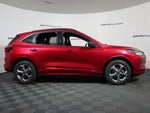 2024 Ford Escape ST-Line AWD