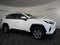2025 Toyota RAV4 XLE AWD
