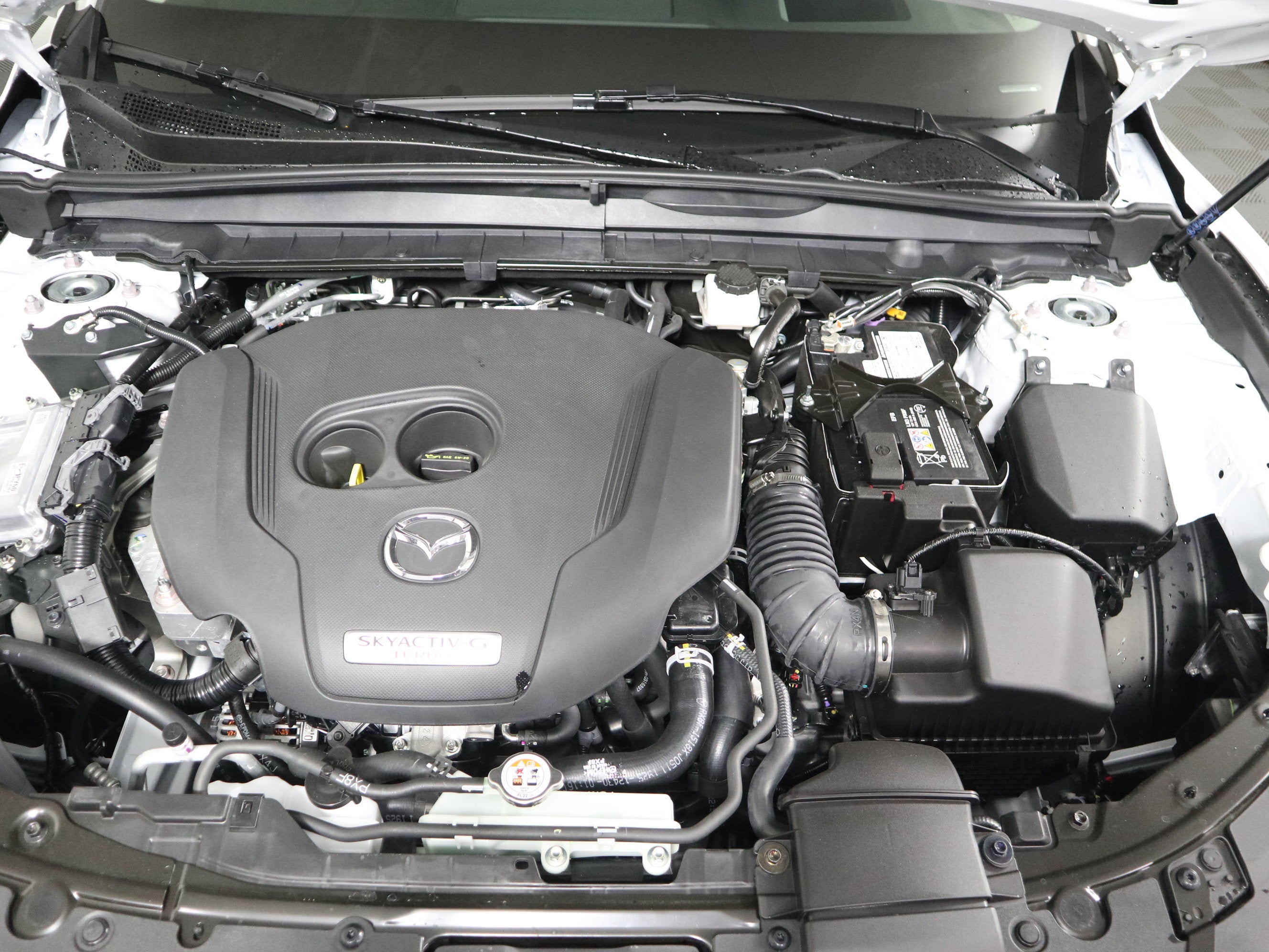 2025 Mazda Mazda CX-50 2.5 Turbo Premium AWD