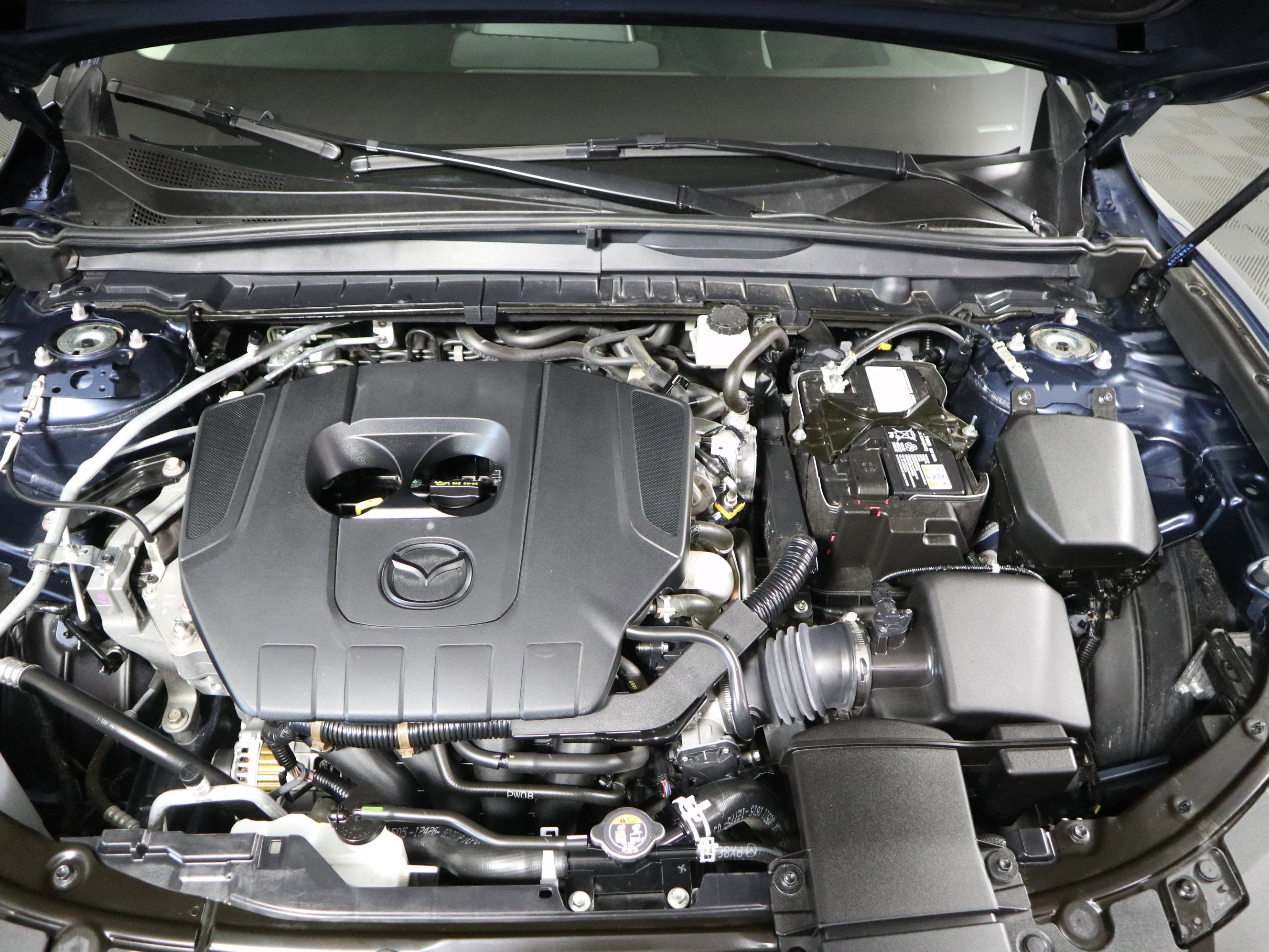 2025 Mazda Mazda CX-50 2.5 S Premium Plus Package