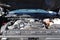 2026 Chevrolet Silverado 2500HD Custom Crew Cab 4WD