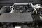 2026 Chevrolet Colorado 4WD Trail Boss